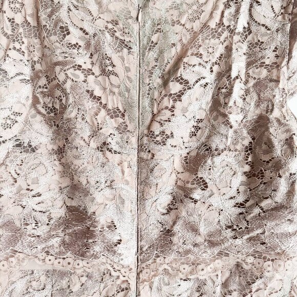adrianna papell Nude Beige Pink Lace Overlay Bodycon Dress 16 - Picture 5 of 5